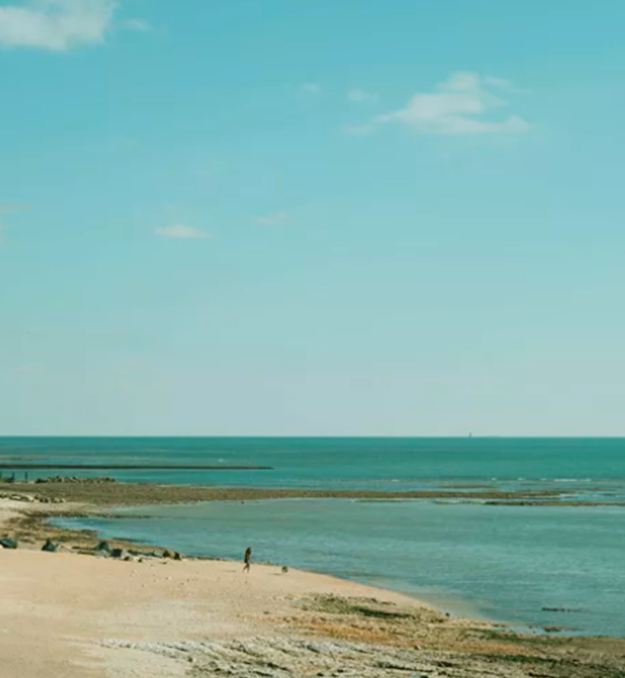 Plage et horizon marin