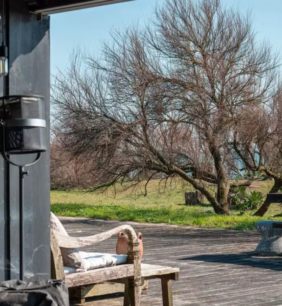 Jardin arboré vu depuis une maison